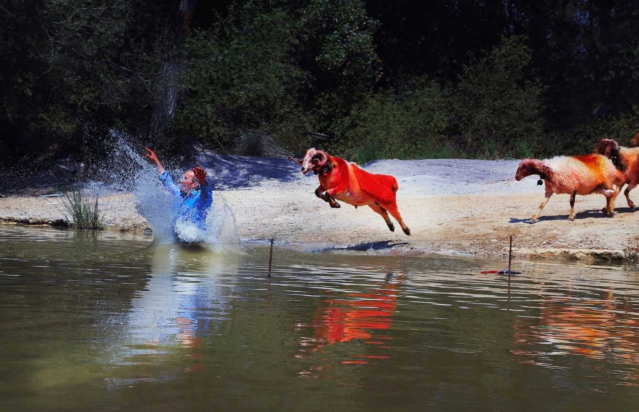 19. Devlet Fotoğraf Yarışması sonuçlandı